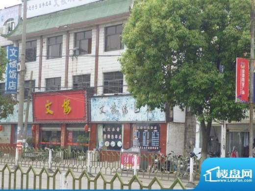 荷湖星城实景图