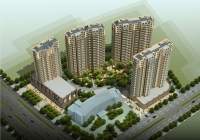 园林式住宅小区 信达名府绿化率为30.1%